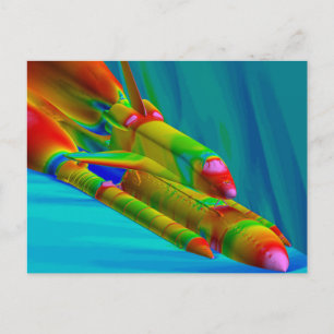 SPACE SHUTTLE THERMAL PICTURE POSTCARD