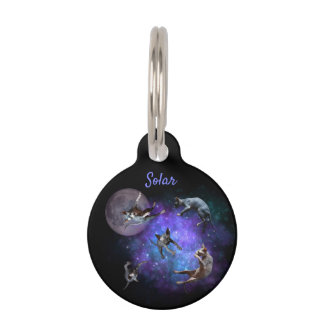 Space Sphynx Cats Floating Kittens in Galaxy Pet Tag