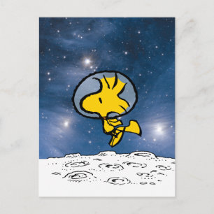 SPACE   Woodstock Astronaut Postcard