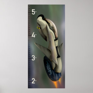 SpaceShip Growth Chart