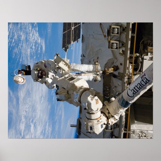 Spacewalk (STS-119) Poster (Front)