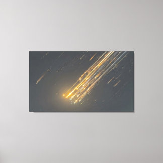 SpaceX's Amazing Downfall - Iconic Canvas Art"