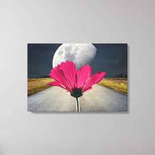 Spacey Cosmos Canvas Print