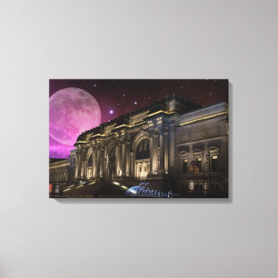 Spacey Metropolitan Museum Canvas Print