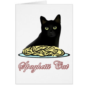 Spagehetti Cat Eloquence