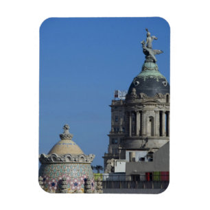 Spain, Catalonia, Barcelona. Barcelona roof top 2 Magnet