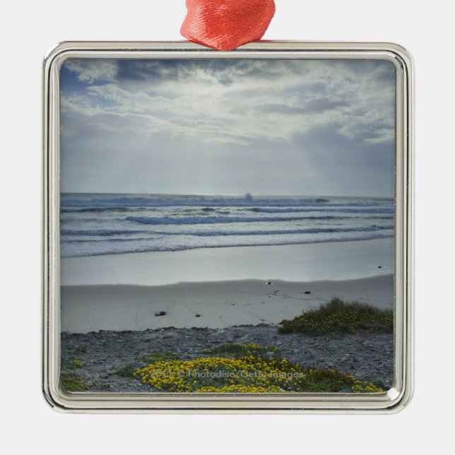 Spain Coastline with Yellow Flowers and Sun Beams Metal Tree Decoration (Front)