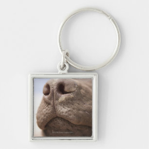 Spain, Costa Blanca, Close-up of chocolate Key Ring