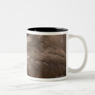Spain, Costa Blanca, Close-up of chocolate Two-Tone Coffee Mug