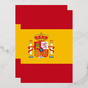 Spain flag