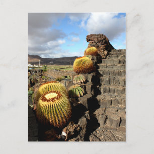 Spain Lanzarote 04 cactus garden Postcard