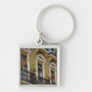 Spain, Sevilla, Andalucia Geraniums hang over Key Ring