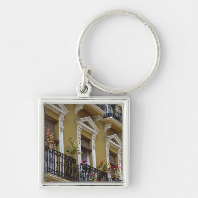 Spain, Sevilla, Andalucia Geraniums hang over Key Ring (Front)