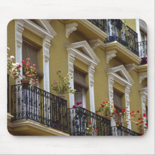 Spain, Sevilla, Andalucia Geraniums hang over Mouse Mat