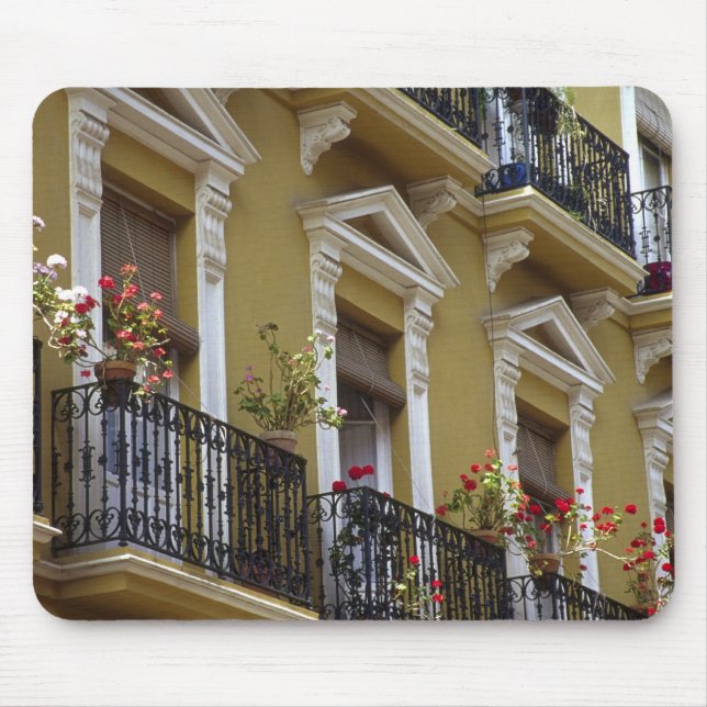 Spain, Sevilla, Andalucia Geraniums hang over Mouse Mat (Front)