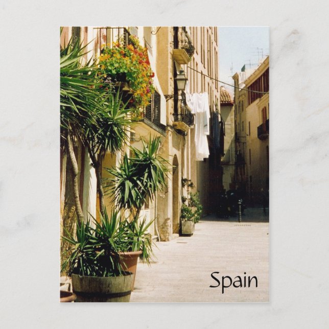 spain street postcard (Front)