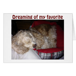 SPAINIEL IS "DREAMING OF FAV PERSON-"YOU"