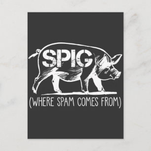 Spam Mail Employee Spig Pig Email Trash Folder Postcard