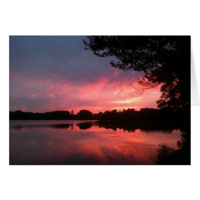spamset: pink september sunset (Front Horizontal)