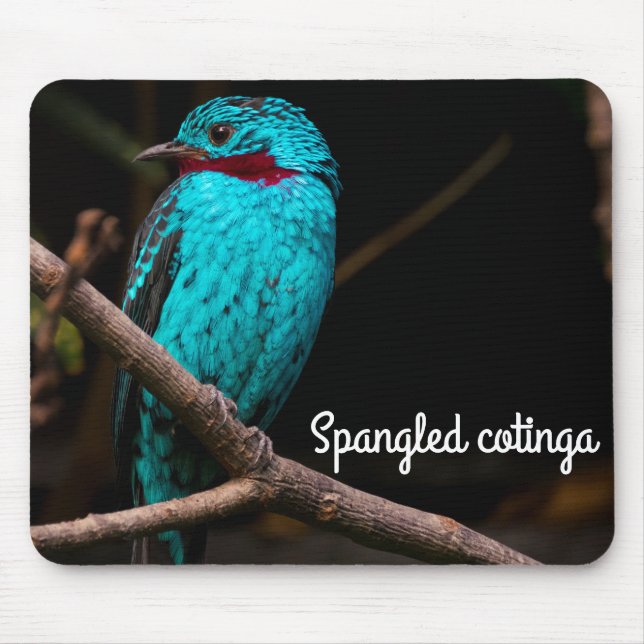 Spangled Cotinga Mouse Mat (Front)