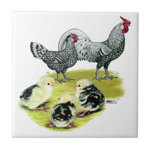 Spangled Hamburg Family Tile