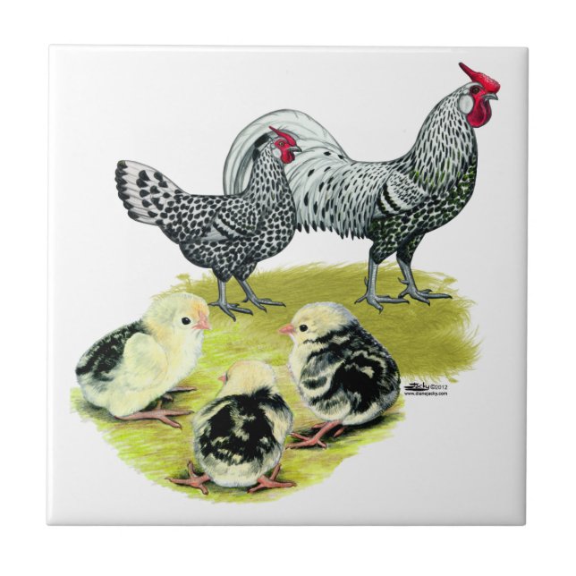 Spangled Hamburg Family Tile (Front)