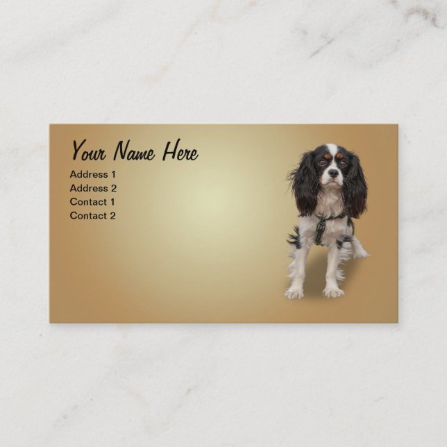 SPANIEL BUSINESS CARD (Front)