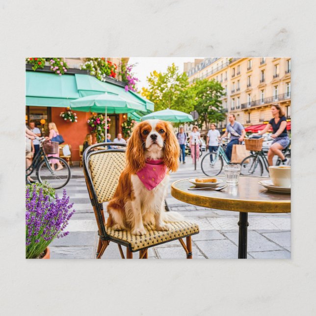 Spaniel city outing at outdoor café postcard (Front)