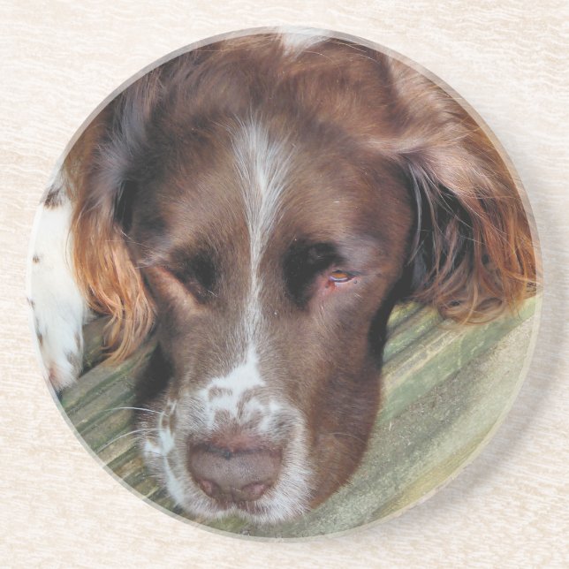 SPANIEL DOG COASTER (Front)