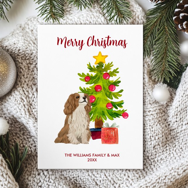Spaniel Dog Family Christmas Holiday Card (Creator Uploaded)