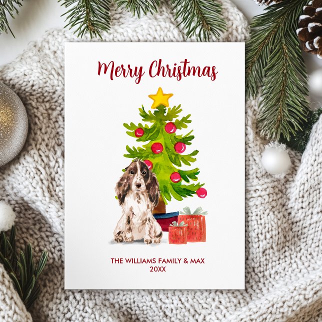 Spaniel Dog Family Christmas Holiday Card (Creator Uploaded)