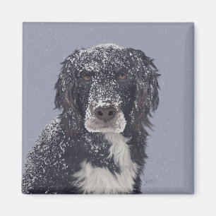 Spaniel dog mix pet portrait  magnet