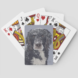 Spaniel dog mix pet portrait playing cards