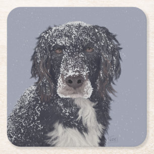 Spaniel dog mix pet portrait  square paper coaster