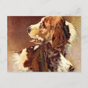 Spaniel Dogs Vintage Art Design Postcard