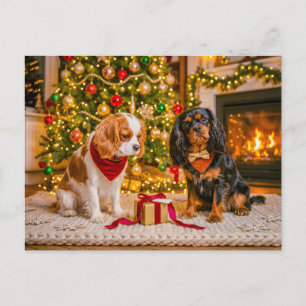 Spaniel duo at cosy christmas tree postcard