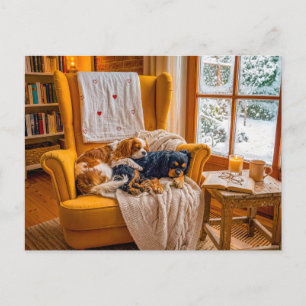 Spaniel duo in cosy winter armchair postcard