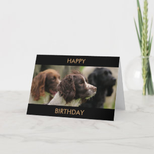 Spaniel Greetings Card
