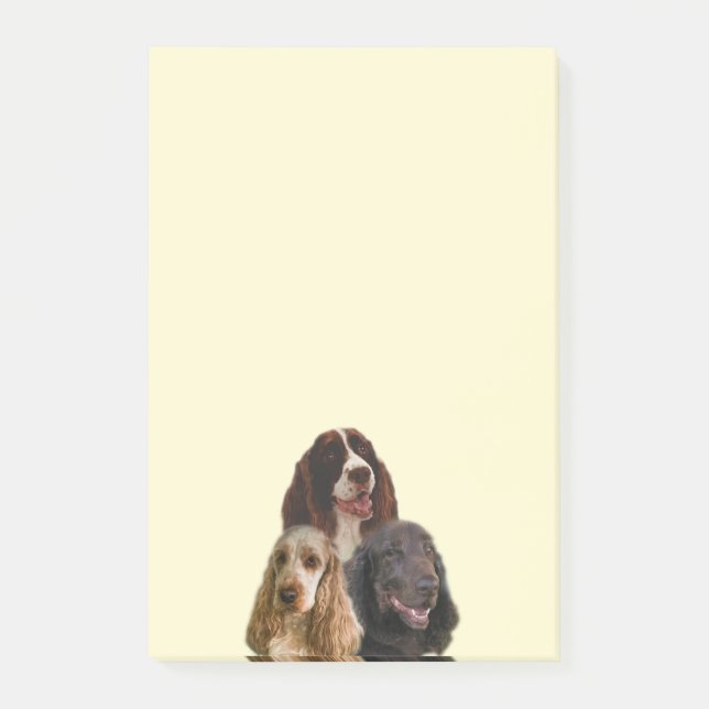 Spaniel Love - Notes (Front)
