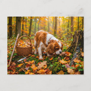 Spaniel mushroom search in autumn forest postcard