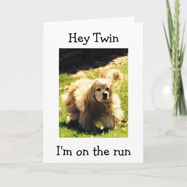 SPANIEL ON THE RUN-HAPPY BIRTHDAY TWIN CARD (Front)