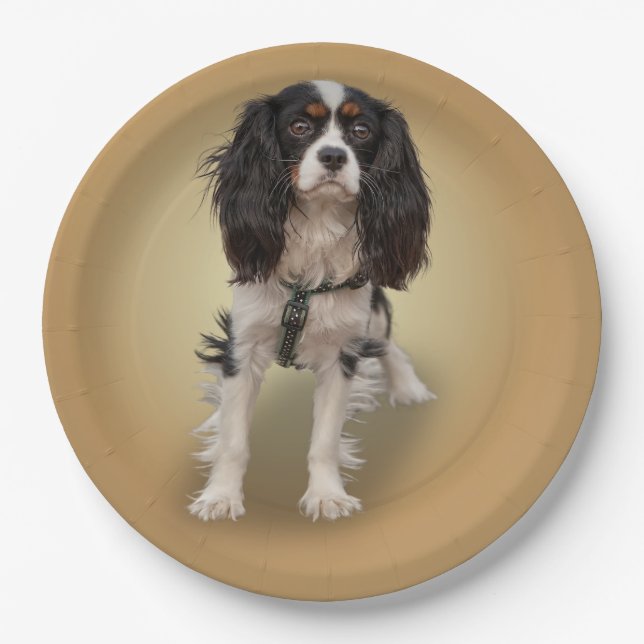SPANIEL PAPER PLATE (Front)