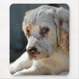 Spaniel Puppy Dog Mouse Mat