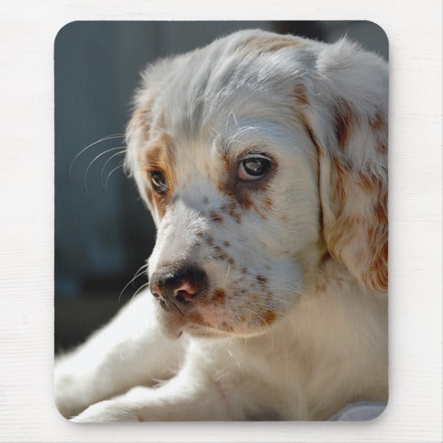 Spaniel Puppy Dog Mouse Mat (Front)