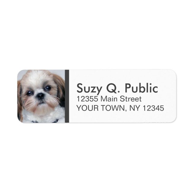 Spaniel Shih Tzu Address Label (Front)