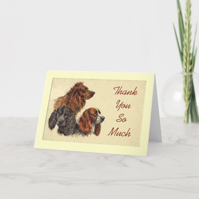 Spaniels Thank You Note Card (Front)