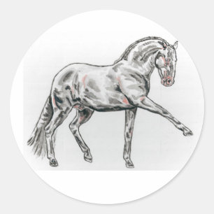 Spanish Andalusian Horse Stickers