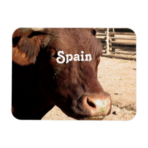 Spanish Bull Magnet