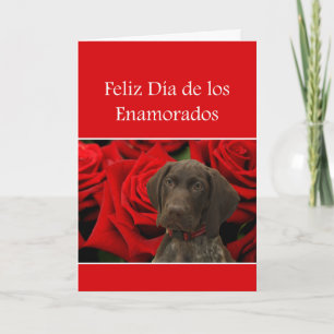 Spanish Día Enamorados Glossy Grizzly Valentine Holiday Card