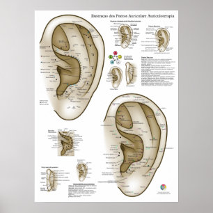Spanish Ear Acupuncture Chart